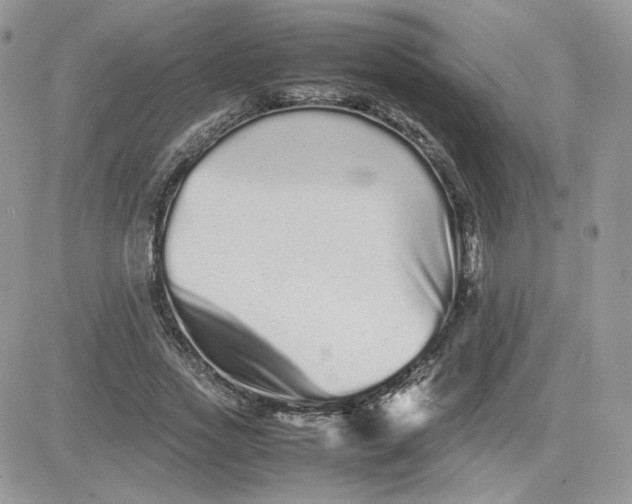 X0000081430733200701261822