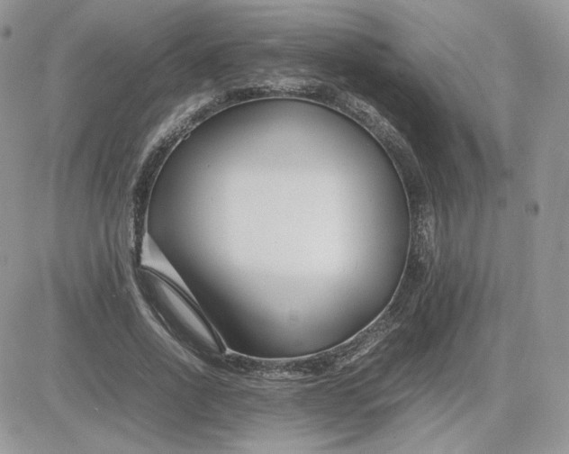 X0000081430734200701261822