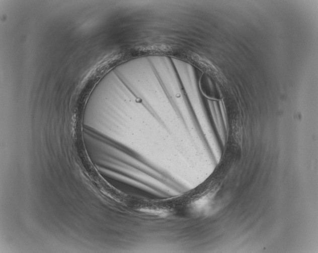 X0000081430735200701261822