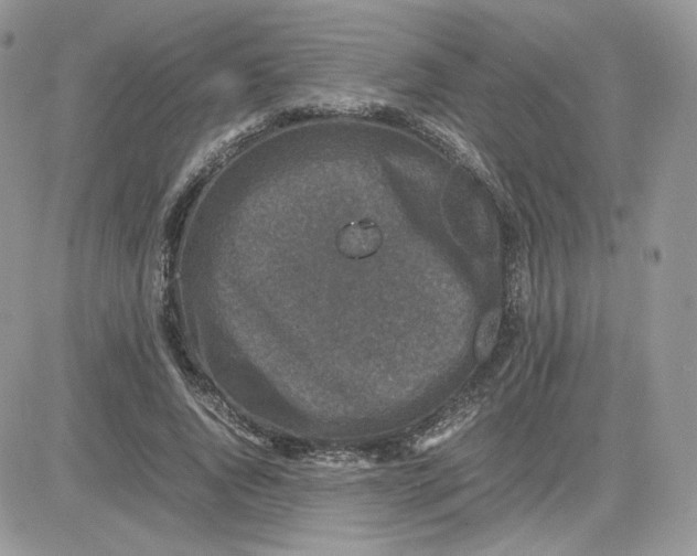 X0000081430736200701261822