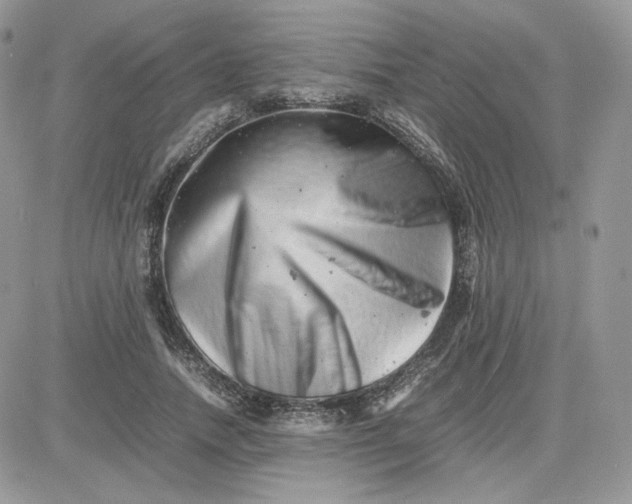 X0000081430738200701261822