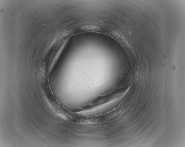 X0000081430739200701261822