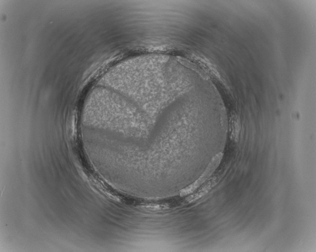 X0000081430740200701261822