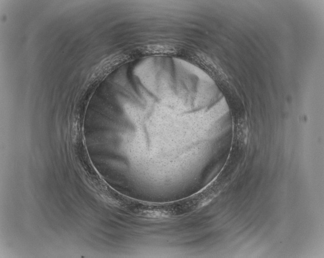 X0000081430741200701261822