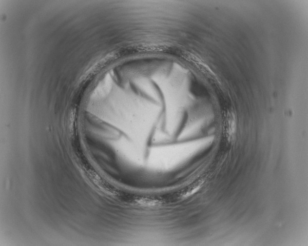 X0000081430742200701261822