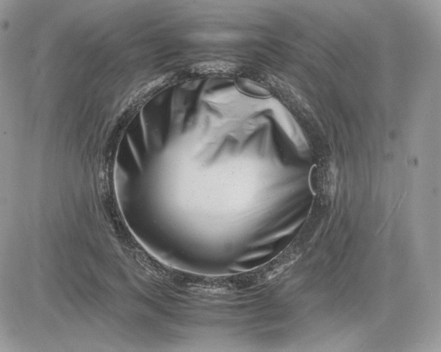 X0000081430743200701261822