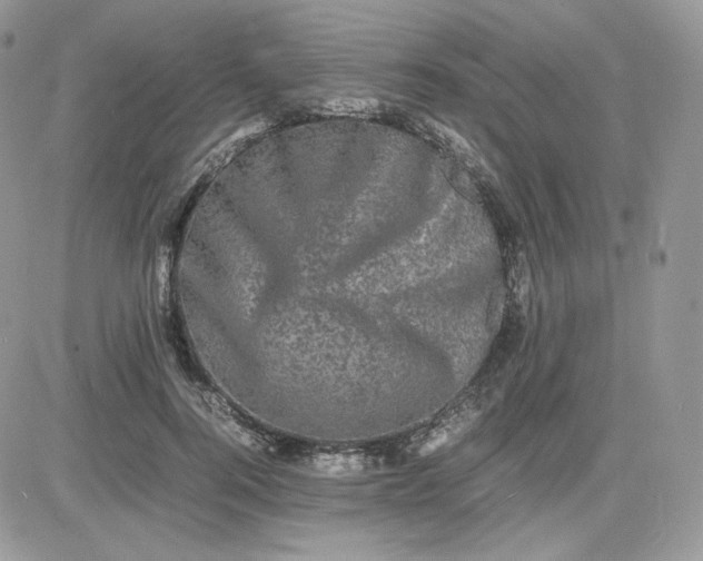 X0000081430744200701261822