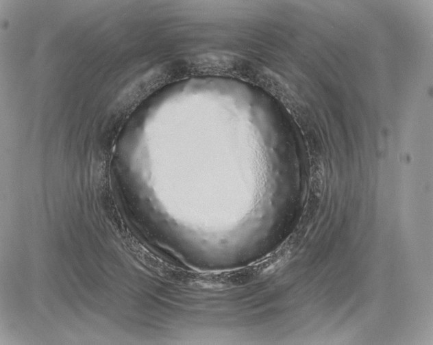 X0000081430745200701261822