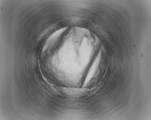 X0000081430746200701261822