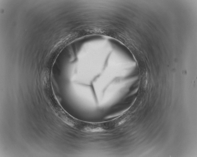 X0000081430747200701261822