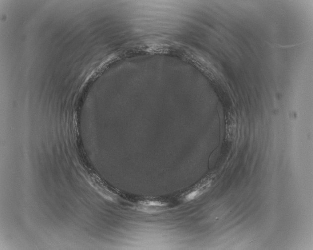 X0000081430748200701261822