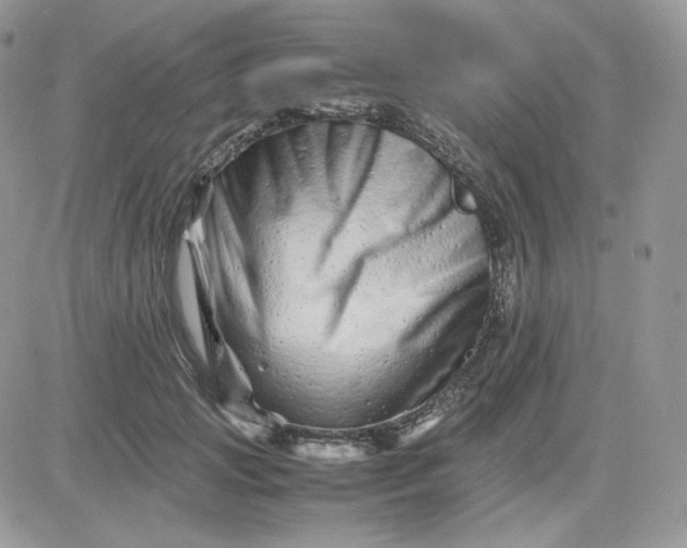 X0000081430749200701261822