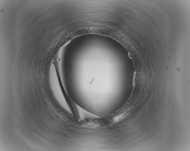 X0000081430750200701261822