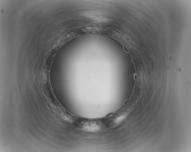 X0000081430751200701261822