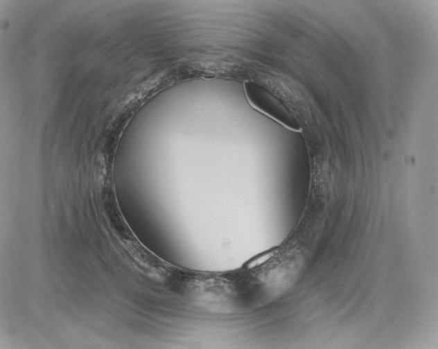 X0000081430752200701261822