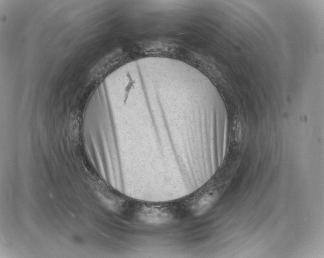 X0000081430753200701261822