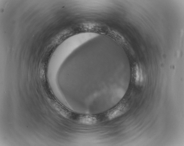 X0000081430754200701261822