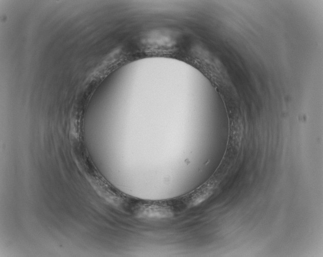 X0000081430755200701261822