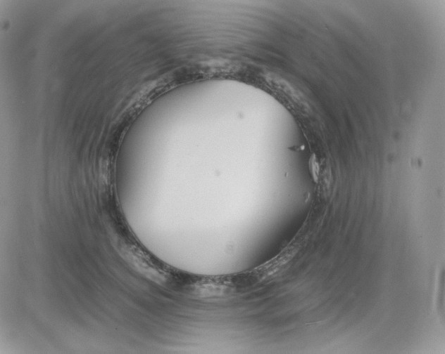 X0000081430756200701261822