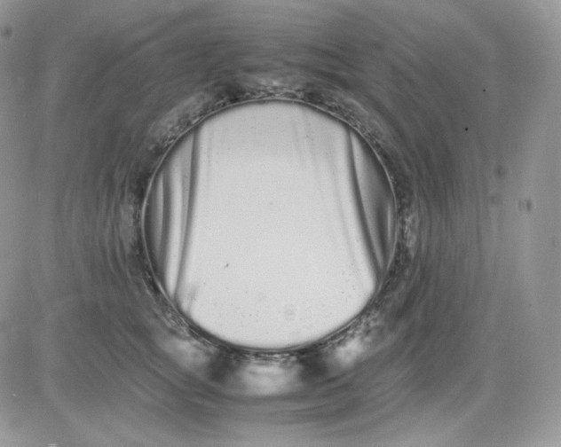 X0000081430757200701261822