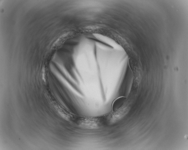 X0000081430758200701261822