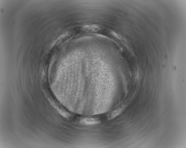 X0000081430759200701261822