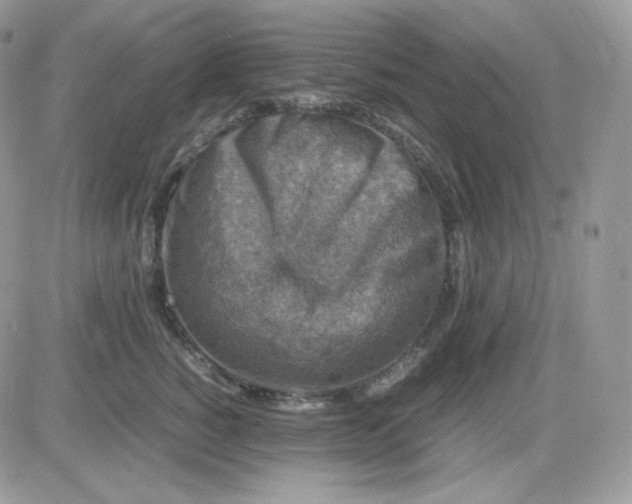 X0000081430760200701261822