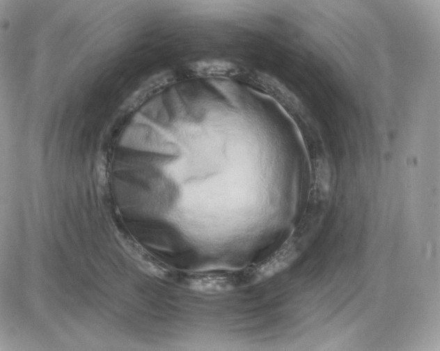 X0000081430761200701261822