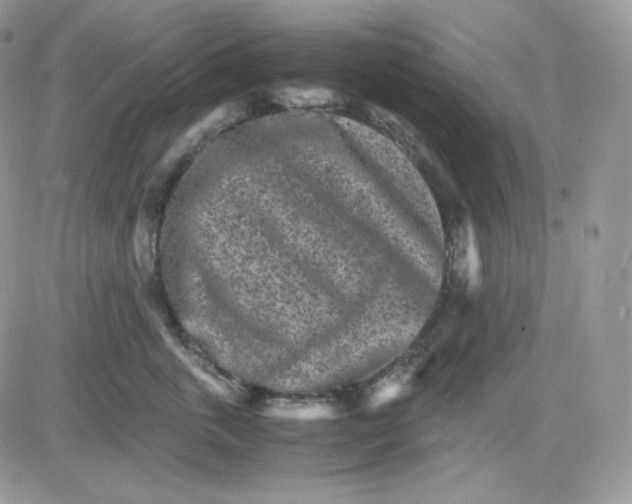 X0000081430763200701261822