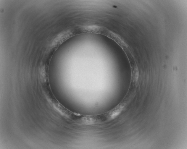 X0000081430764200701261822