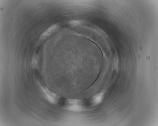 X0000081430766200701261822