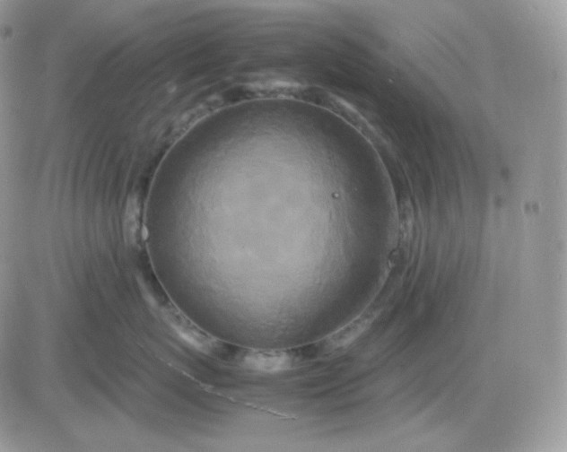 X0000081430767200701261822