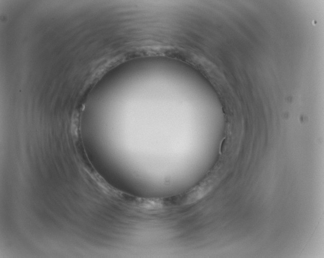 X0000081430768200701261822