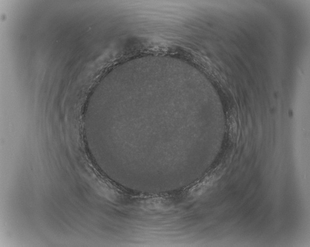 X0000081430769200701261822