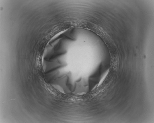 X0000081430770200701261822