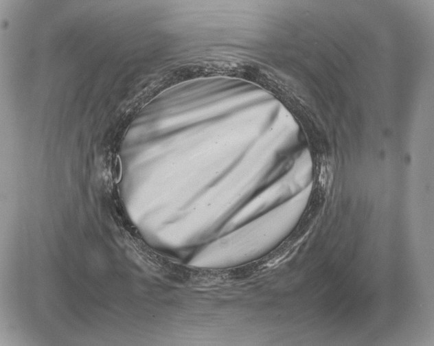 X0000081430771200701261822