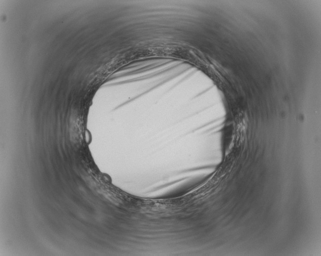 X0000081430772200701261822