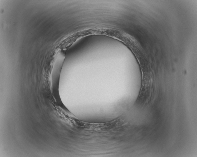 X0000081430773200701261822