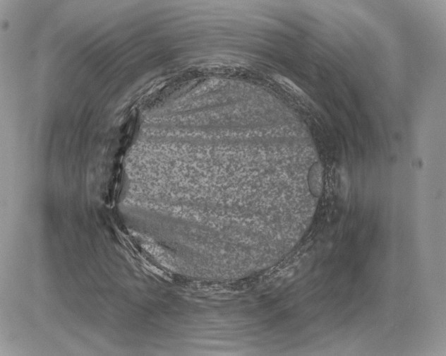 X0000081430774200701261822