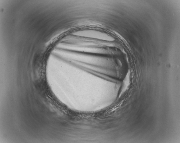 X0000081430775200701261821