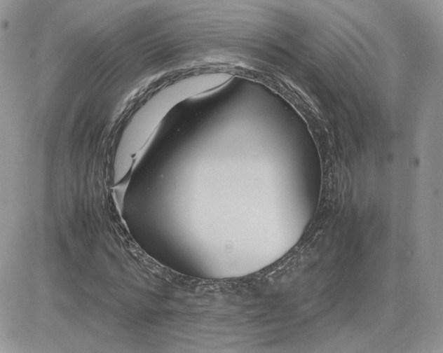 X0000081430776200701261821