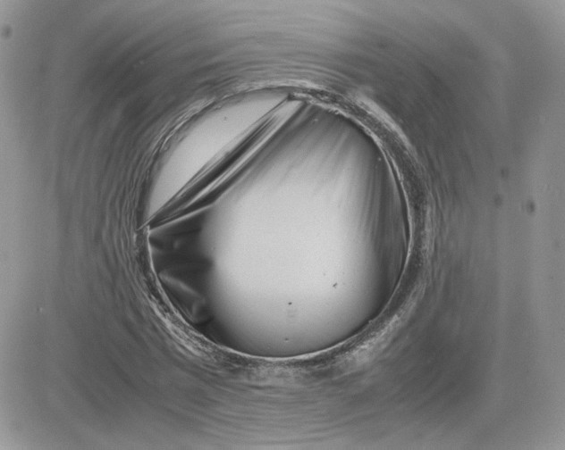 X0000081430777200701261821