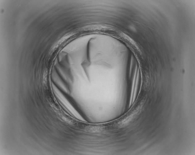 X0000081430778200701261821