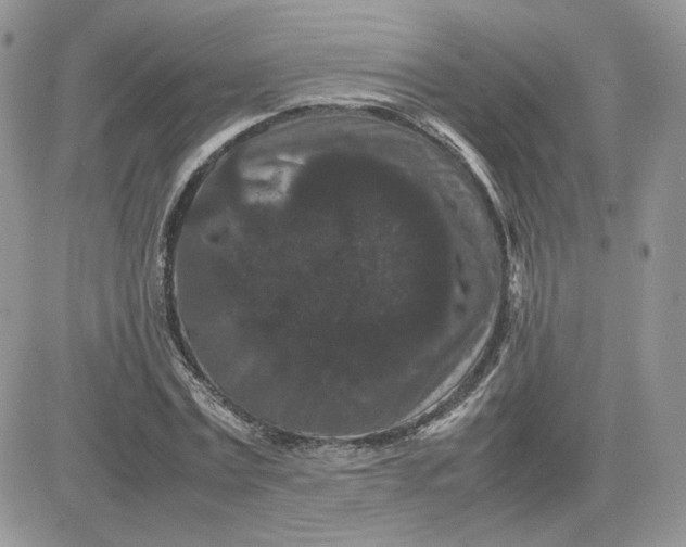 X0000081430779200701261821