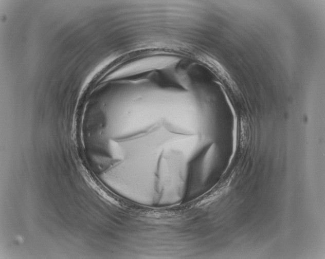 X0000081430780200701261821