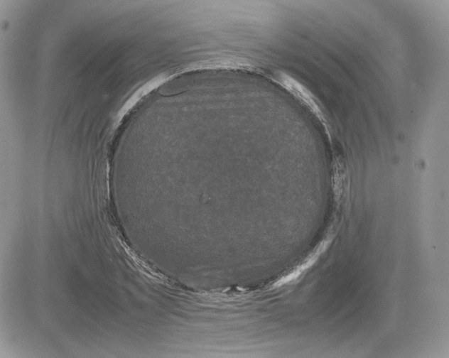 X0000081430781200701261821