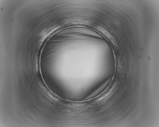 X0000081430782200701261821