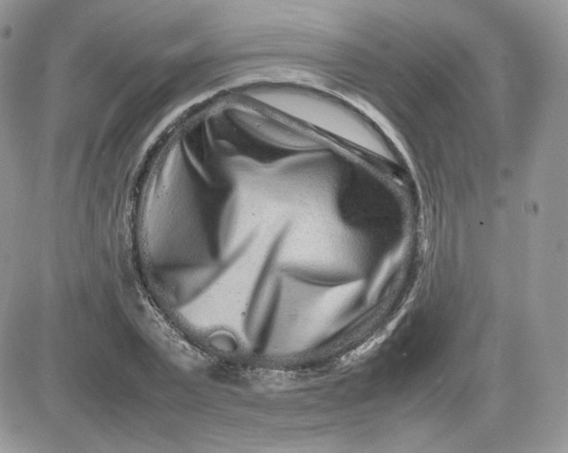 X0000081430783200701261821