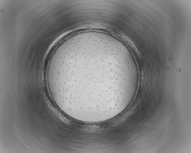 X0000081430784200701261821