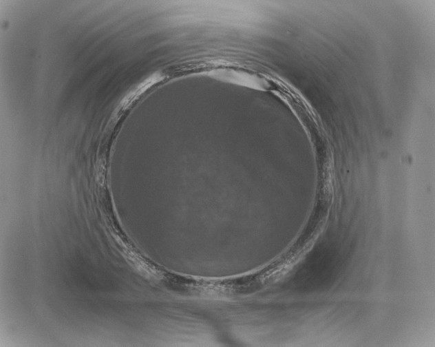 X0000081430785200701261821